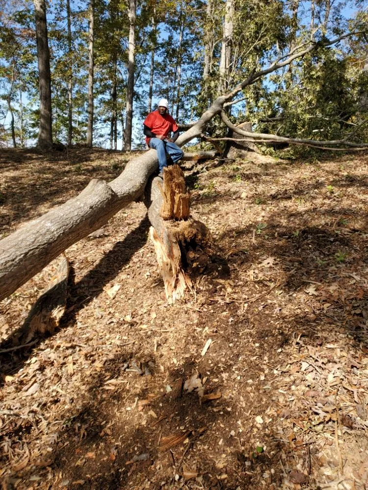 Expert outdoor landscaping in Seneca, SC - Morning Glory Lawn Care & Landscaping