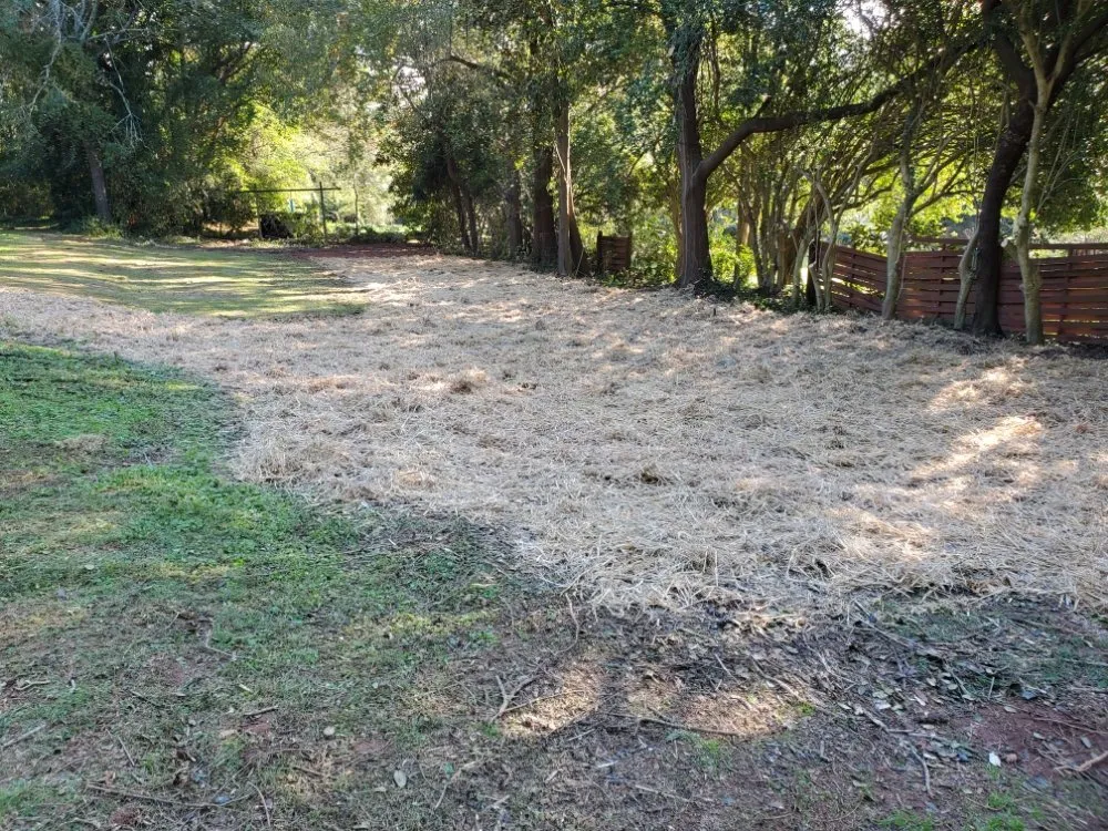 Local outdoor landscaping in Seneca, SC - Morning Glory Lawn Care & Landscaping