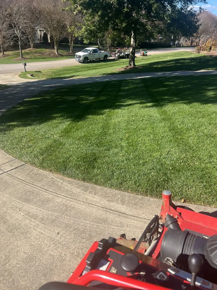 Professional yard cleanup service in Knightdale, NC by Morning Irrigation And Landscaping