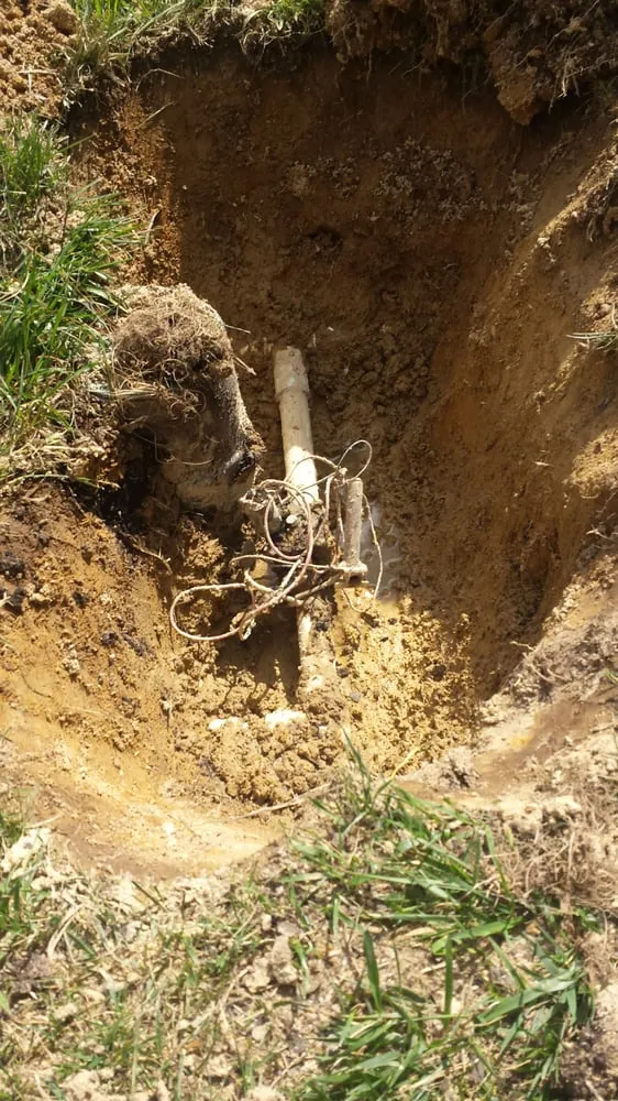 Trusted landscape design for year-round maintenance across Knightdale, NC - Morning Irrigation And Landscaping