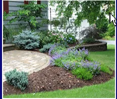 Custom lawn care service in Apalachin, NY - Morning Light Landscapes