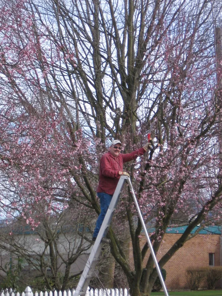 Reliable landscape installation experts serving Bonney Lake, WA - Morning Rain