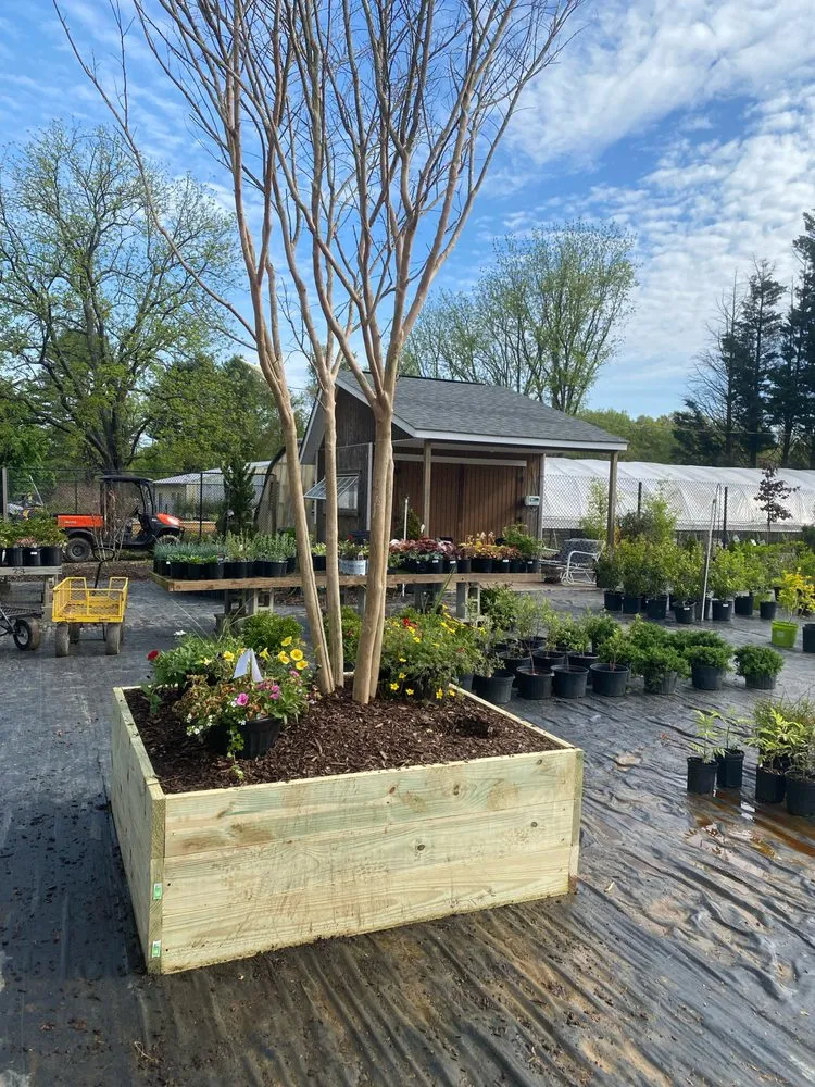 Custom yard maintenance in Reisterstown, MD - Morning Star Farm & Nursery