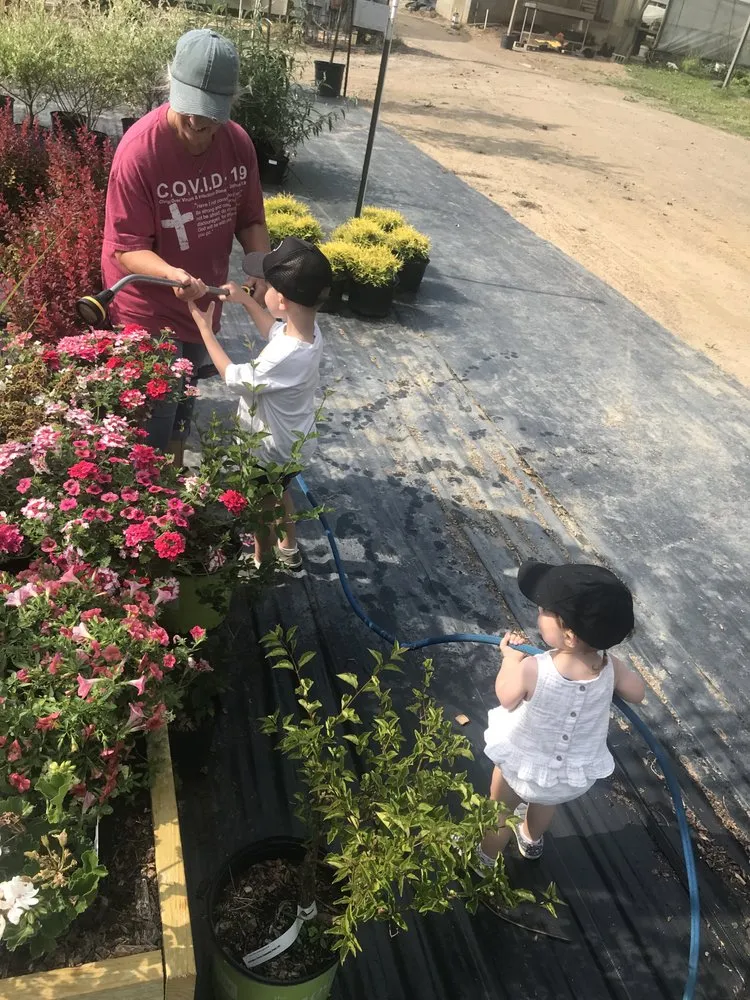 Expert lawn care service for year-round maintenance in Reisterstown, MD by Morning Star Farm & Nursery