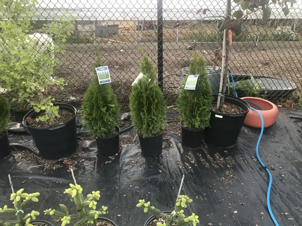 Reliable lawn mowing service for year-round maintenance across Reisterstown, MD - Morning Star Farm & Nursery