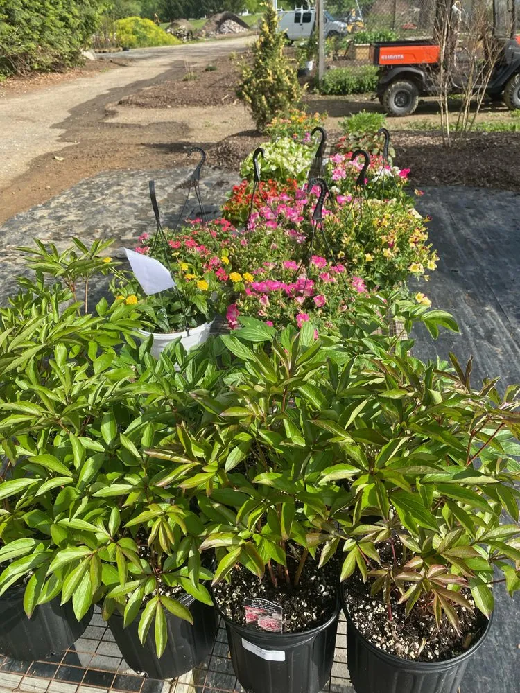 Reliable yard cleanup service in Reisterstown, MD by Morning Star Farm & Nursery