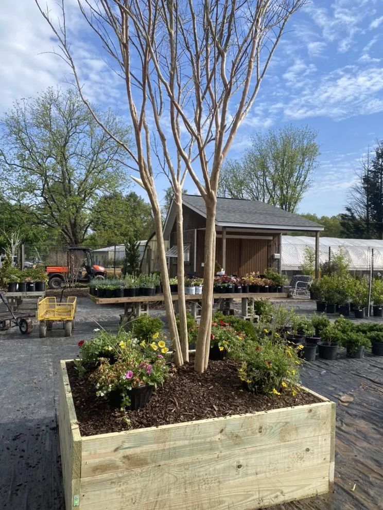 Custom landscape installation in Reisterstown, MD - Morning Star Farm & Nursery