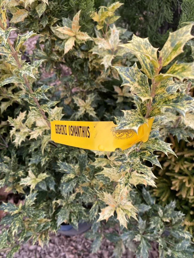 Reliable garden landscaping in Reisterstown, MD by Morning Star Farm & Nursery