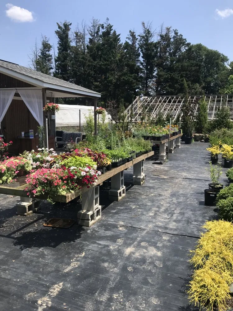 Custom residential landscaping for residential properties across Reisterstown, MD - Morning Star Farm & Nursery