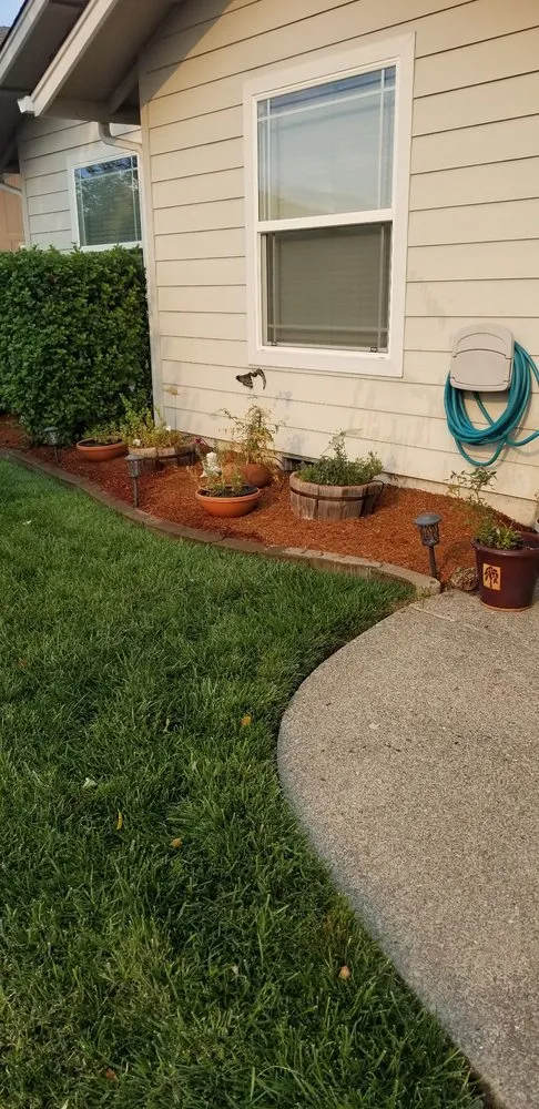 Custom yard cleanup service in Grants Pass, OR by Morning Star Landscape