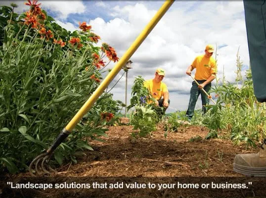 Morning Star Landscape