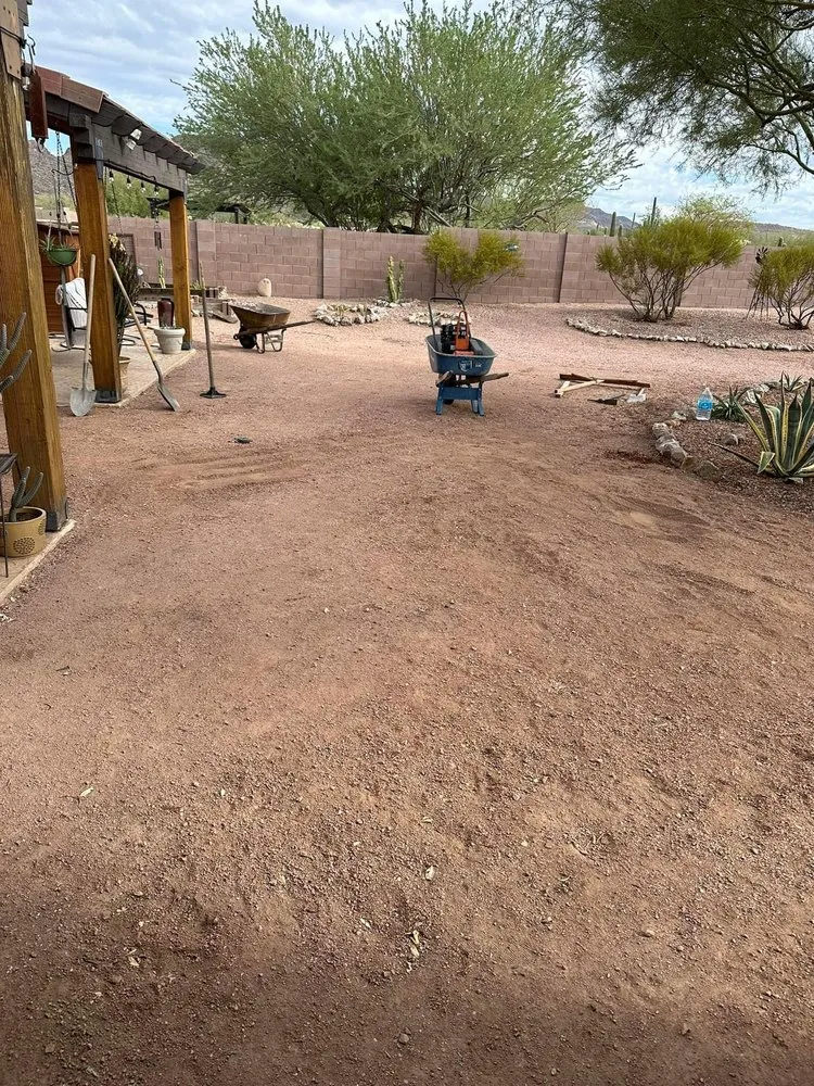 Expert landscape installation in North Las Vegas, NV - Morning Star Landscaping