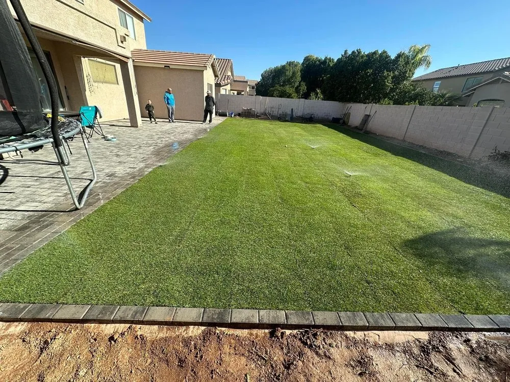 Custom yard maintenance in North Las Vegas, NV - Morning Star Landscaping