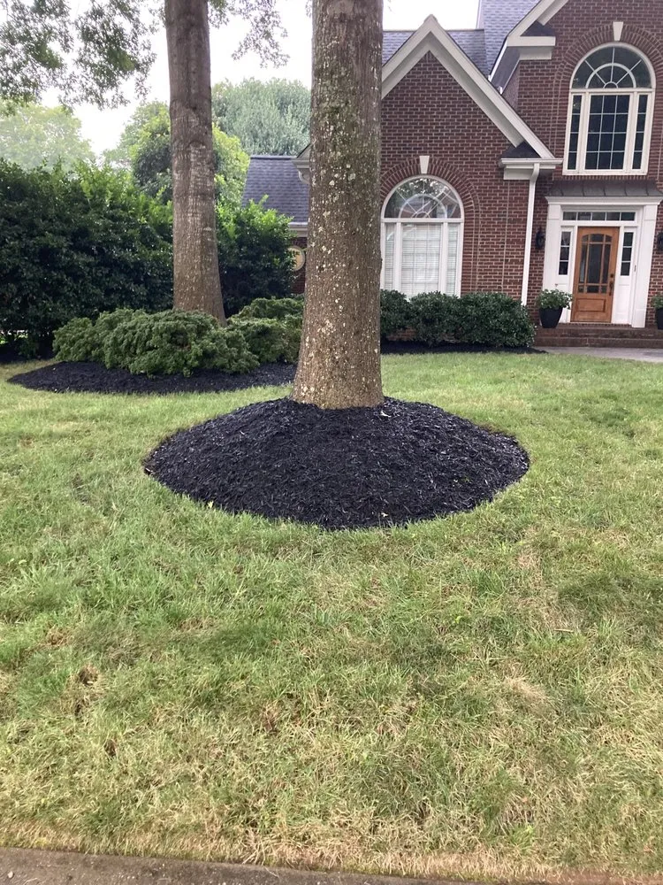 Reliable yard maintenance in Fountain Inn, SC by Morning Star Lawncare
