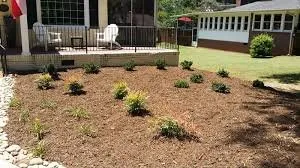 Professional lawn mowing service experts serving Fountain Inn, SC - Morning Star Lawncare