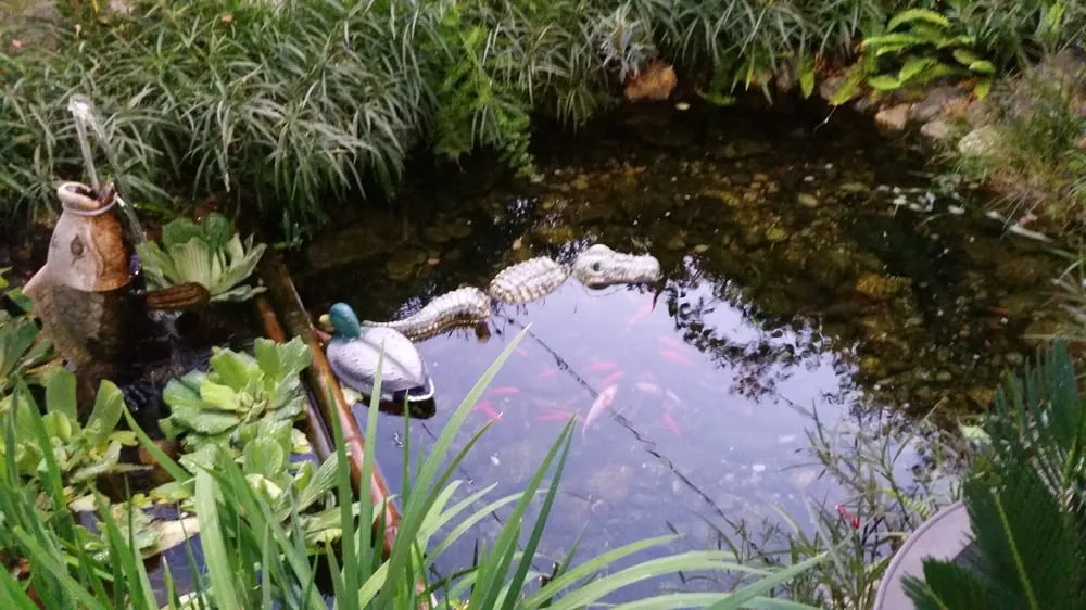 Trusted residential landscaping experts serving San Gabriel, CA - Morning Sun Garden