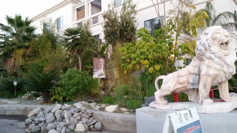 Reliable lawn mowing service in San Gabriel, CA by Morning Sun Garden