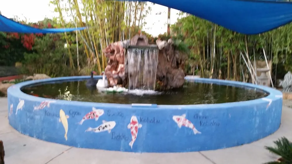 Trusted yard cleanup service in San Gabriel, CA - Morning Sun Garden