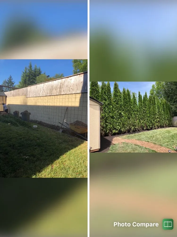 Affordable landscape installation near you in Hillsboro, OR by Morning View Land Care Services