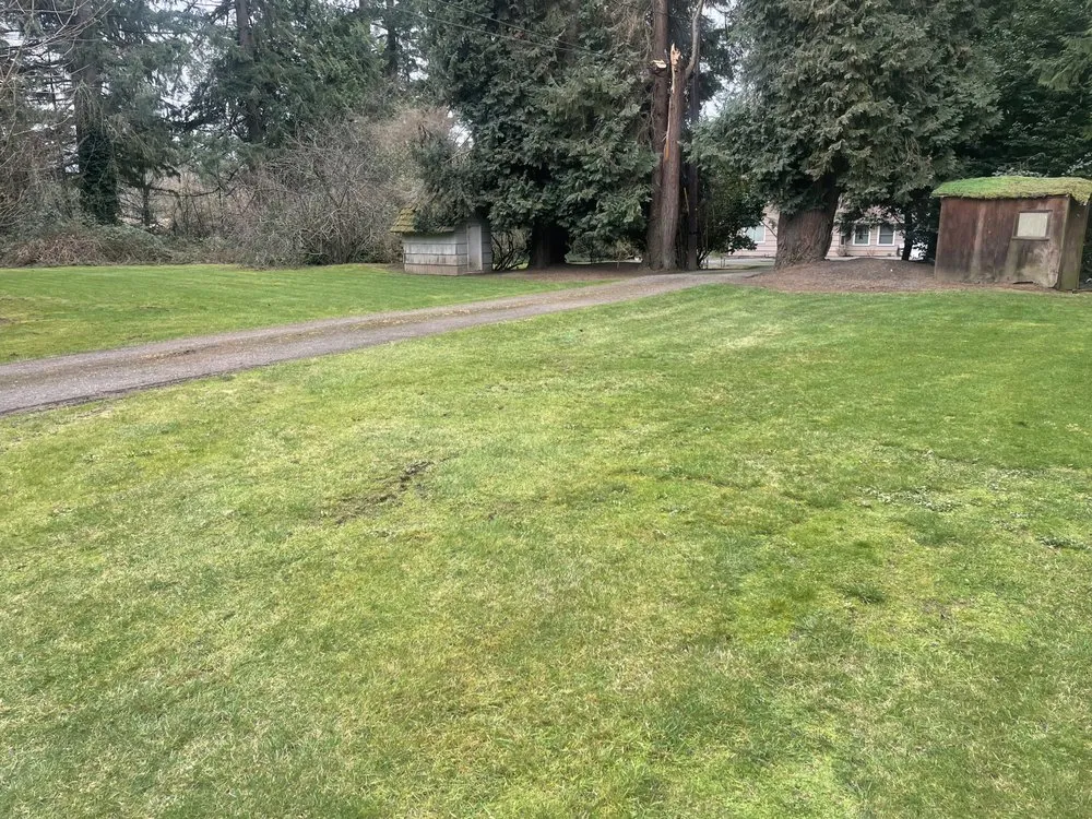 Reliable lawn care service in Hillsboro, OR by Morning View Land Care Services