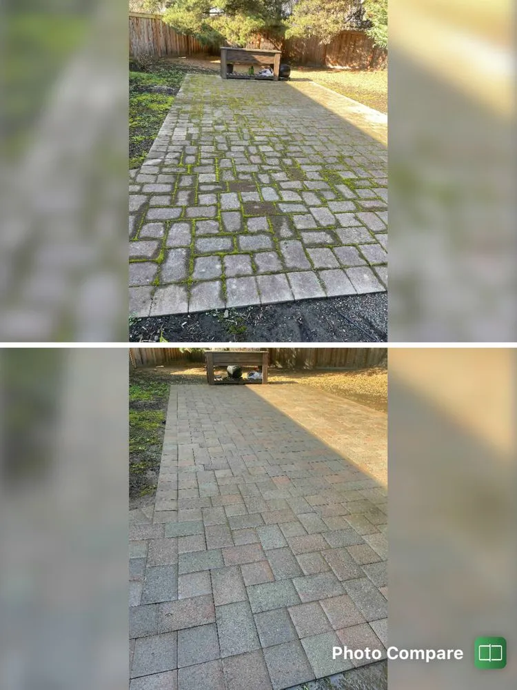 Trusted lawn care service in Hillsboro, OR by Morning View Land Care Services