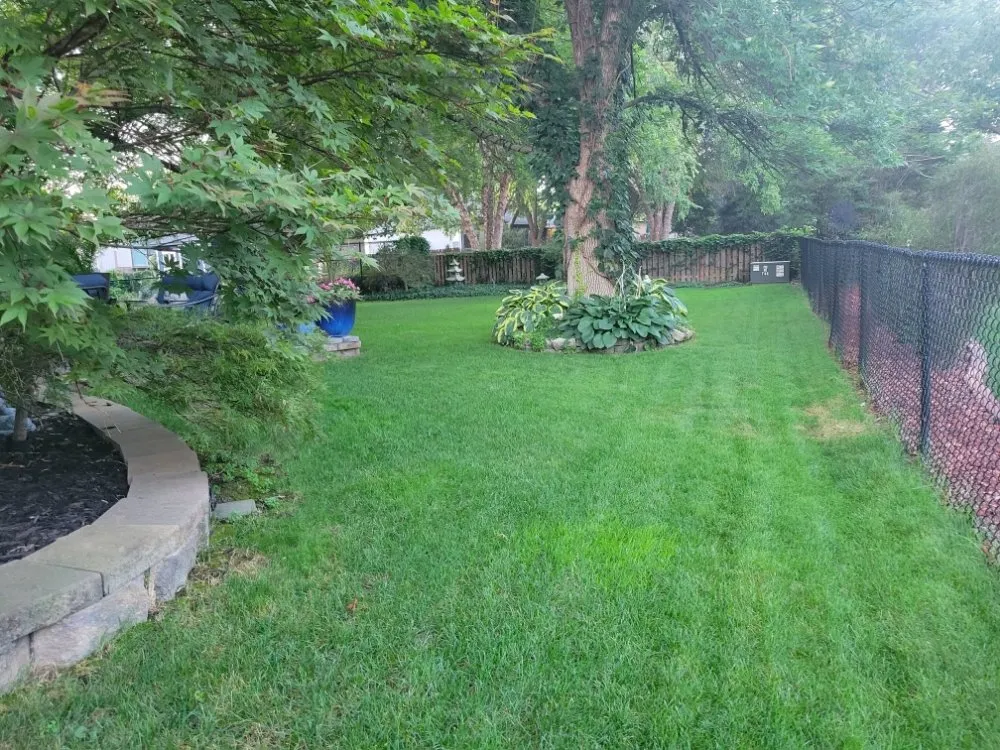 Trusted lawn care service in Fremont, NE - Morningside Tree & Lawn Care
