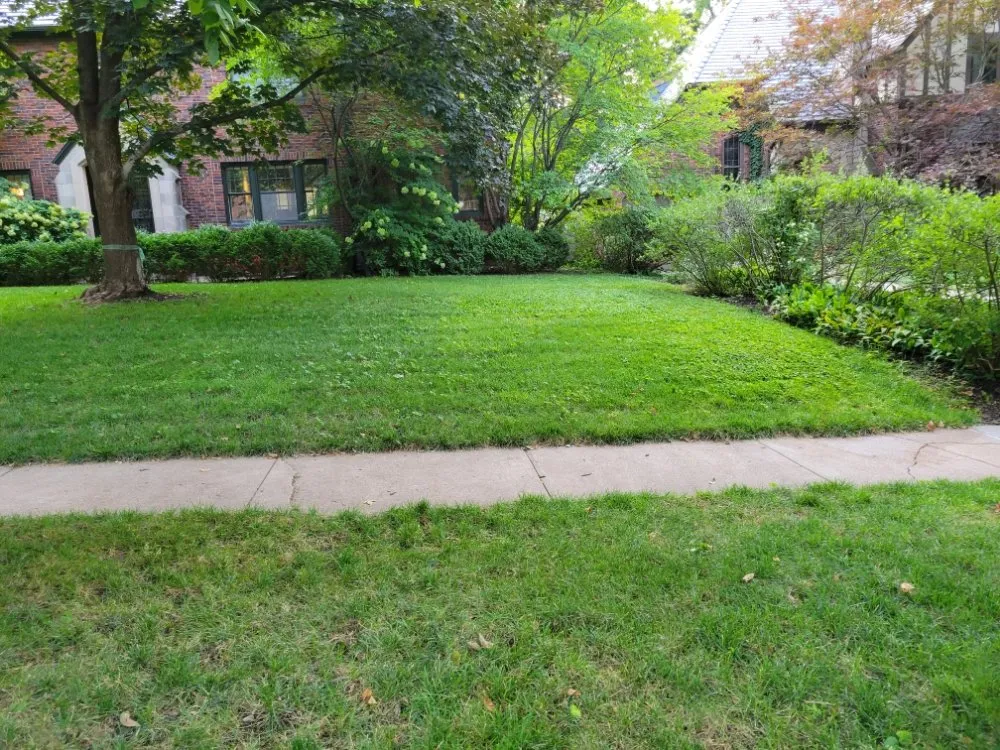 Affordable yard maintenance in Fremont, NE - Morningside Tree & Lawn Care