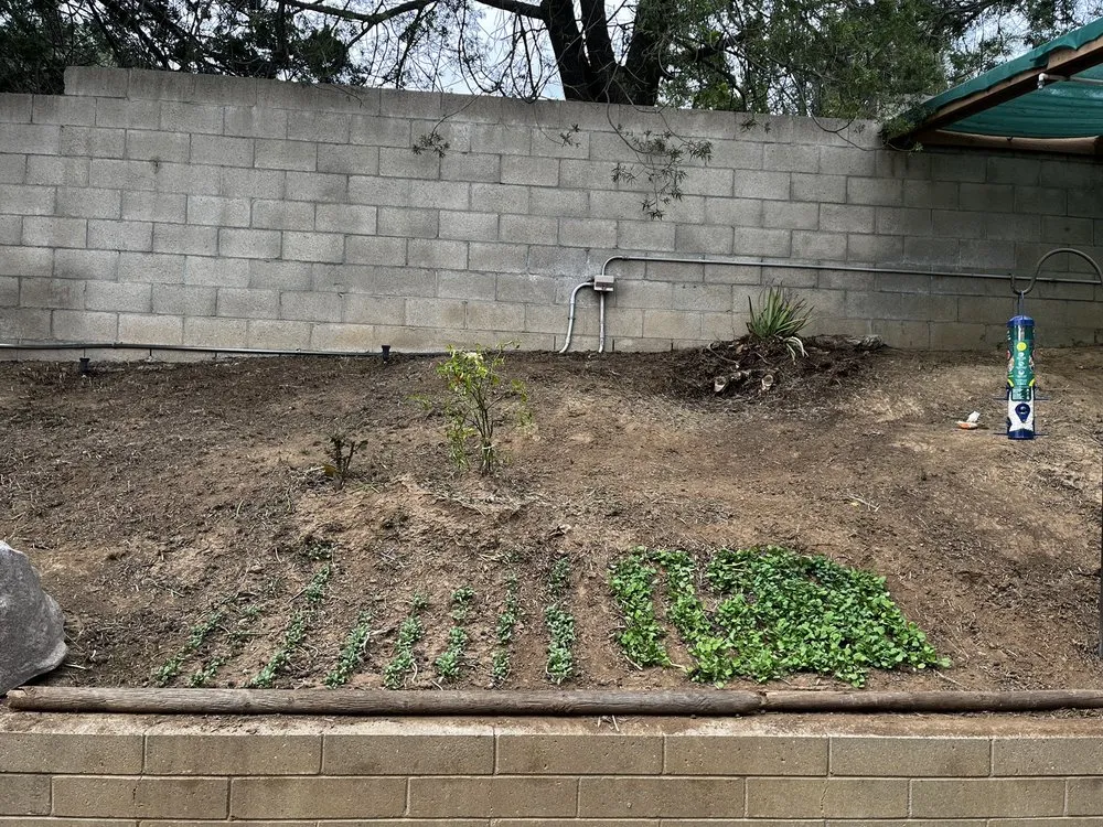 Local residential landscaping with custom design across Orange, CA - Morningsky Landscaping