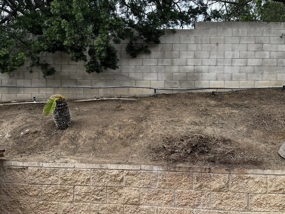 Local landscape installation in Orange, CA - Morningsky Landscaping