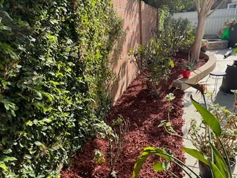 Affordable yard maintenance experts serving Orange, CA - Morningsky Landscaping
