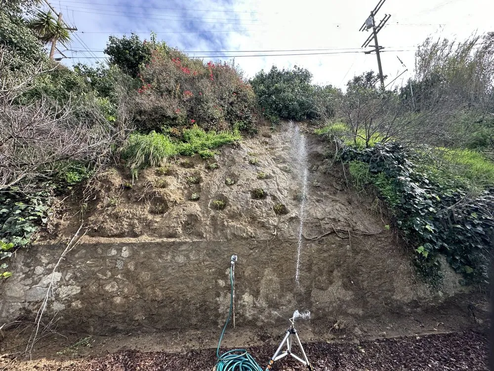 Top-rated lawn care service for homes across Orange, CA - Morningsky Landscaping