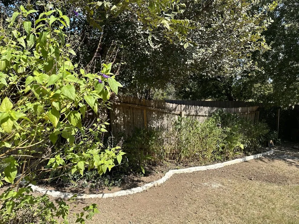 Local landscape design experts serving Austin, TX - Morningstar Landscaping