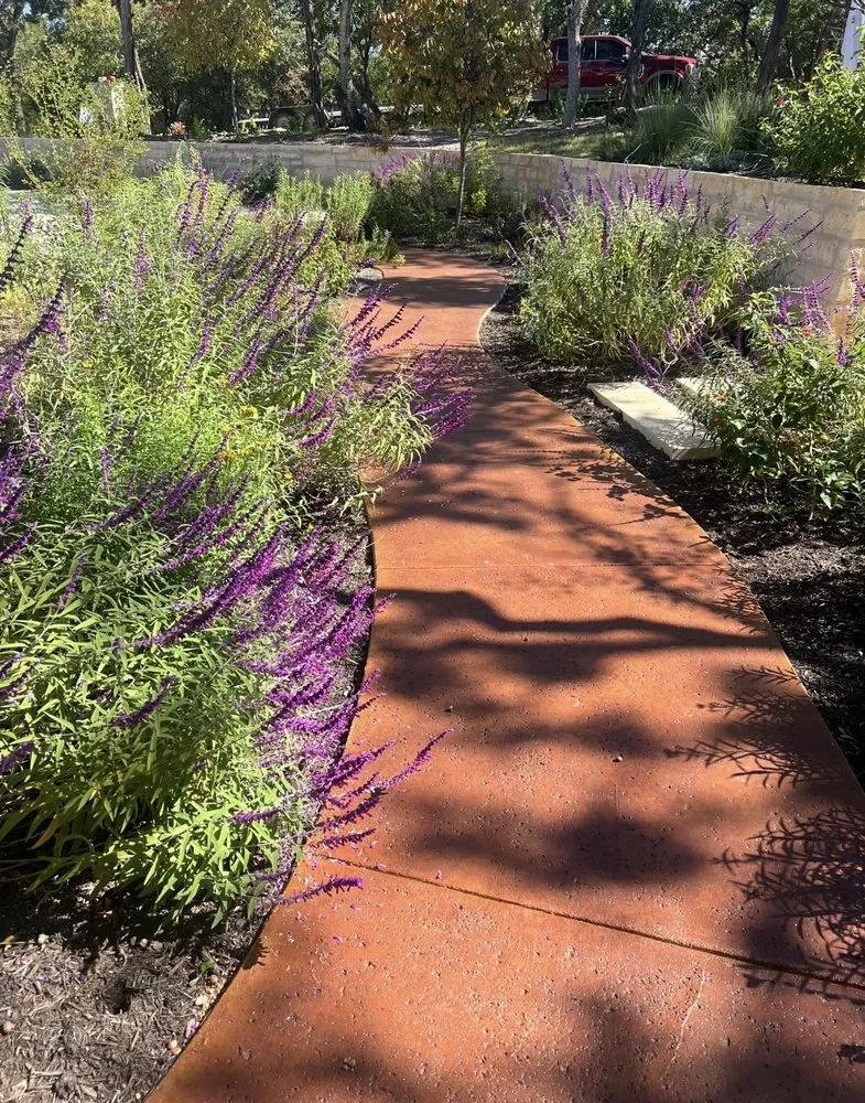 Local yard cleanup service experts serving Austin, TX - Morningstar Landscaping