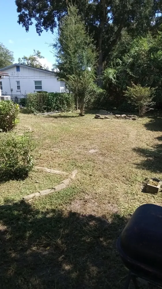 Trusted outdoor landscaping with custom design across Jacksonville, FL - Morningstar Lawn Maintenance & More