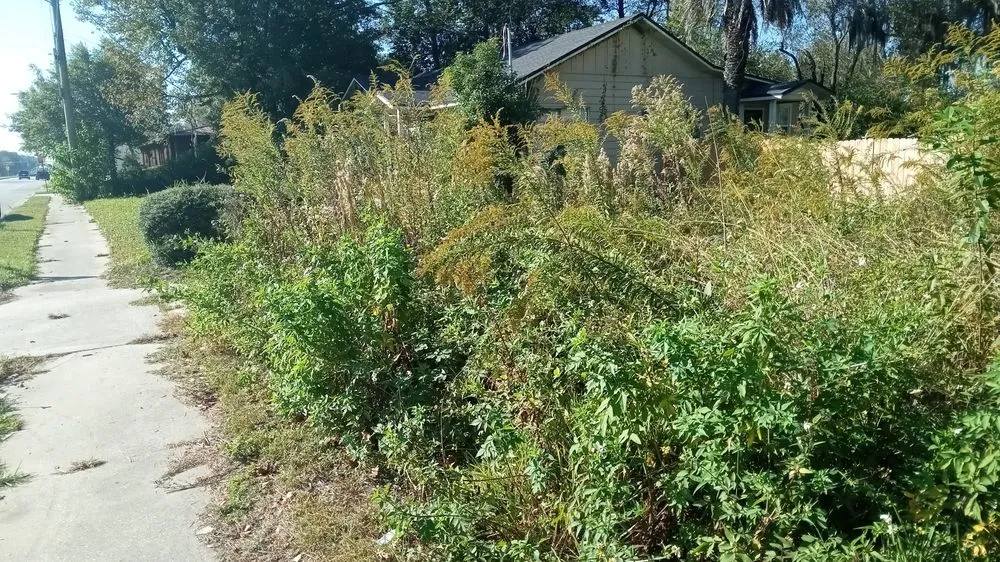 Reliable garden landscaping experts serving Jacksonville, FL - Morningstar Lawn Maintenance & More