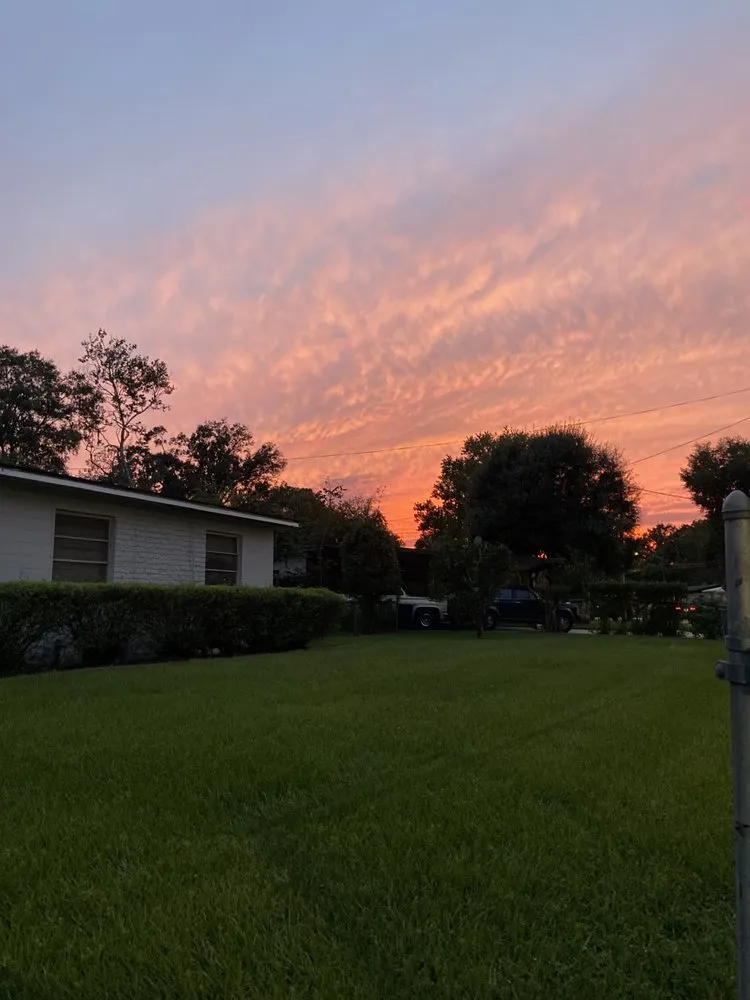 Expert yard cleanup service in Jacksonville, FL by Morningstar Lawn Maintenance & More