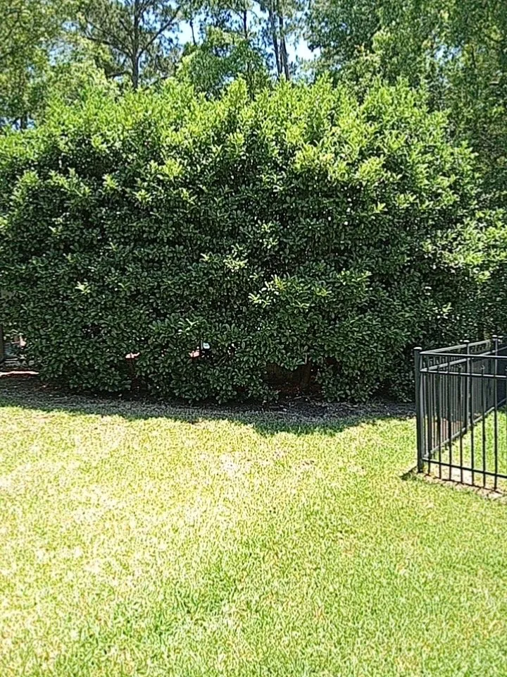 Reliable garden landscaping experts serving Jacksonville, FL - Morningstar Lawn Maintenance & More