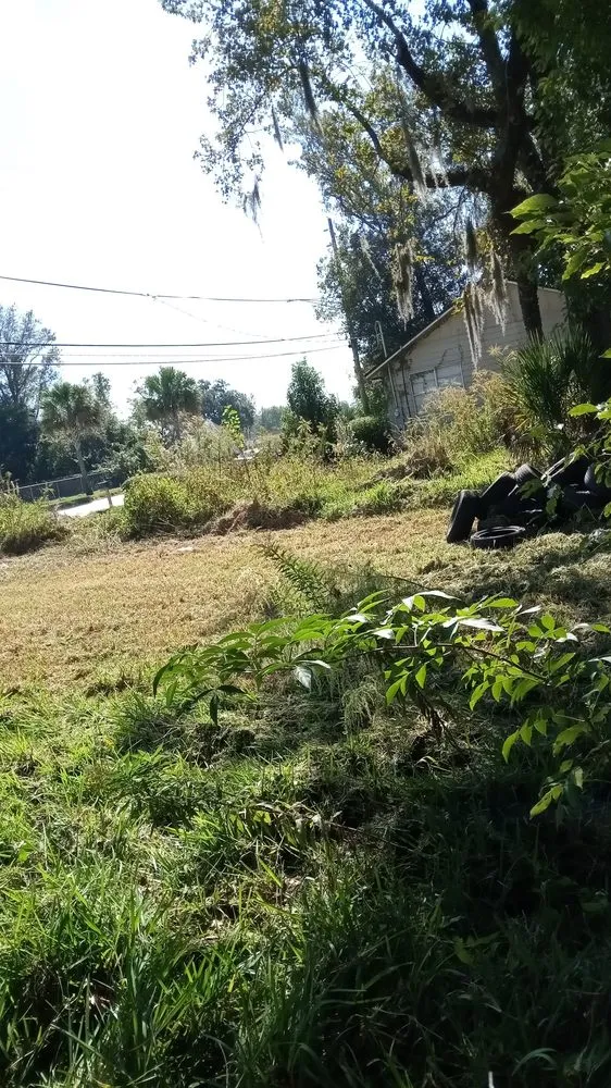 Reliable outdoor landscaping for residential properties across Jacksonville, FL - Morningstar Lawn Maintenance & More