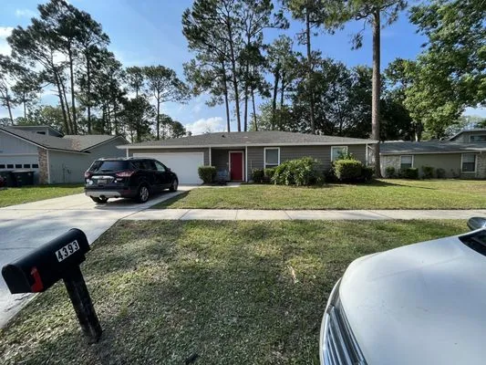 Morningstar Lawn Maintenance & More Logo