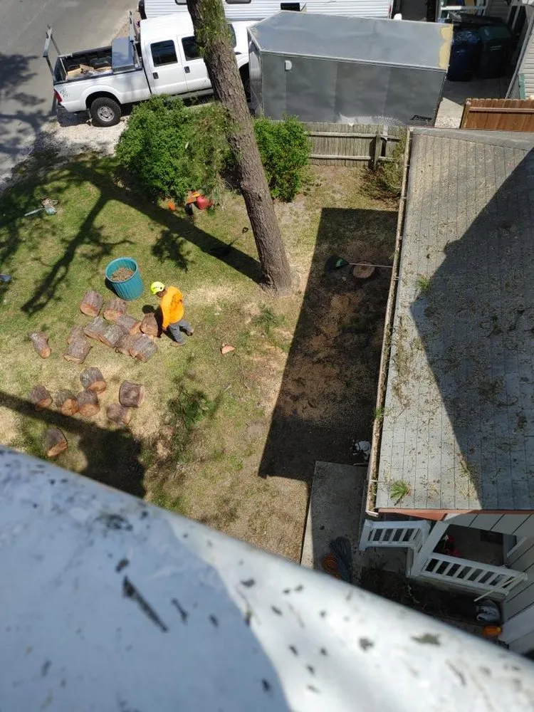 Expert yard cleanup service in Toms River, NJ by Moro Landscaping & Tree Services