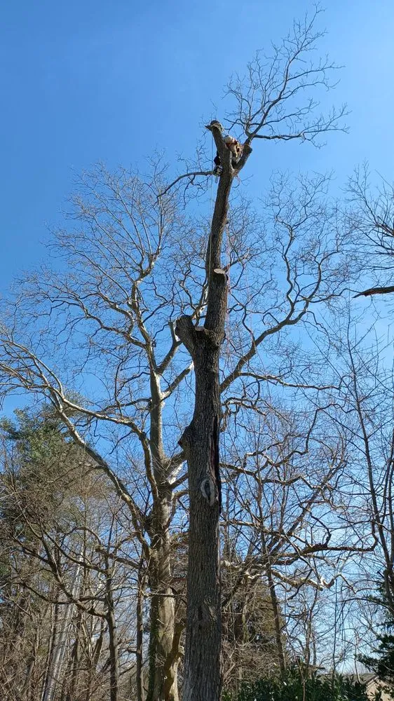 Custom landscape installation for beautiful yards in Toms River, NJ by Moro Landscaping & Tree Services