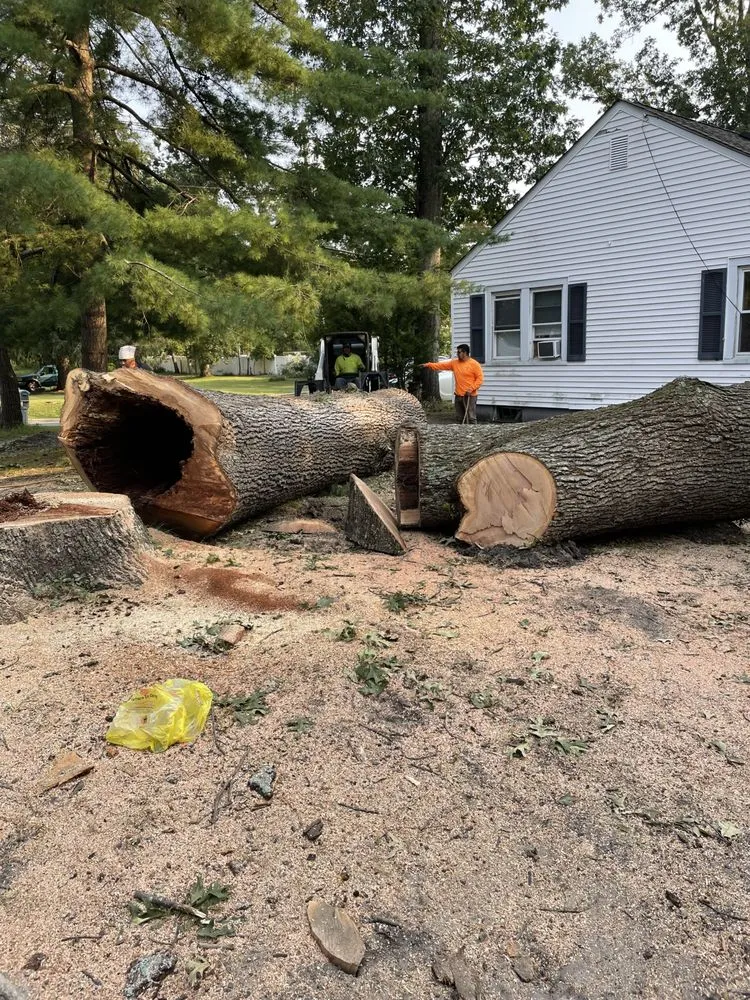 Custom yard maintenance for beautiful yards in Toms River, NJ by Moro Landscaping & Tree Services