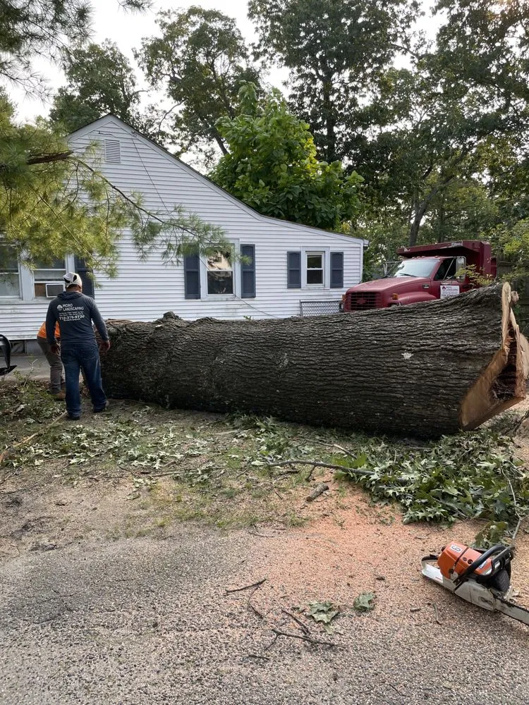 Professional landscape design experts serving Toms River, NJ - Moro Landscaping & Tree Services