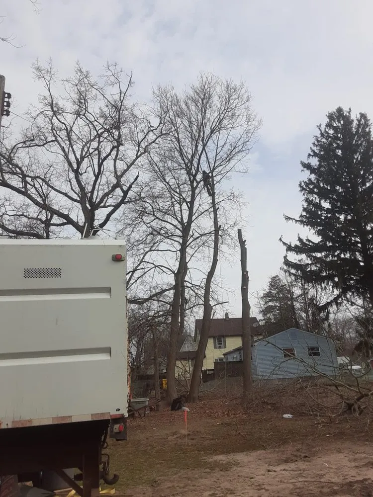 Reliable lawn care service in Toms River, NJ by Moro Landscaping & Tree Services