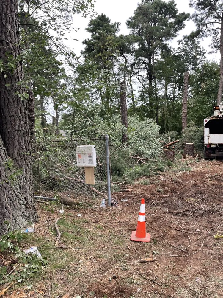 Trusted landscape design in Toms River, NJ - Moro Landscaping & Tree Services