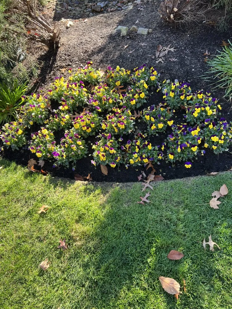 Expert lawn mowing service for homes across Hudson, OH - Morones Landscaping