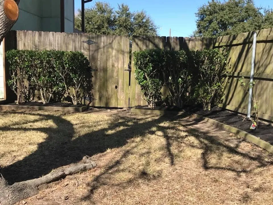 Trusted landscaping services in Sealy, TX by Morrell Outdoors