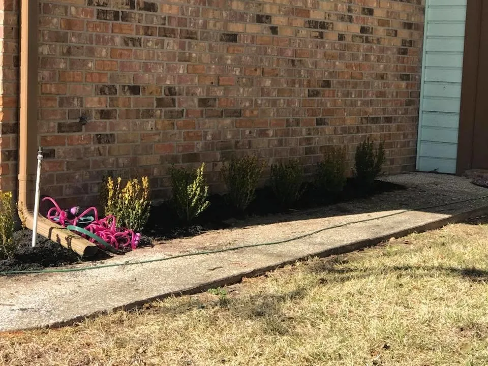 Trusted landscape installation for beautiful yards in Sealy, TX by Morrell Outdoors