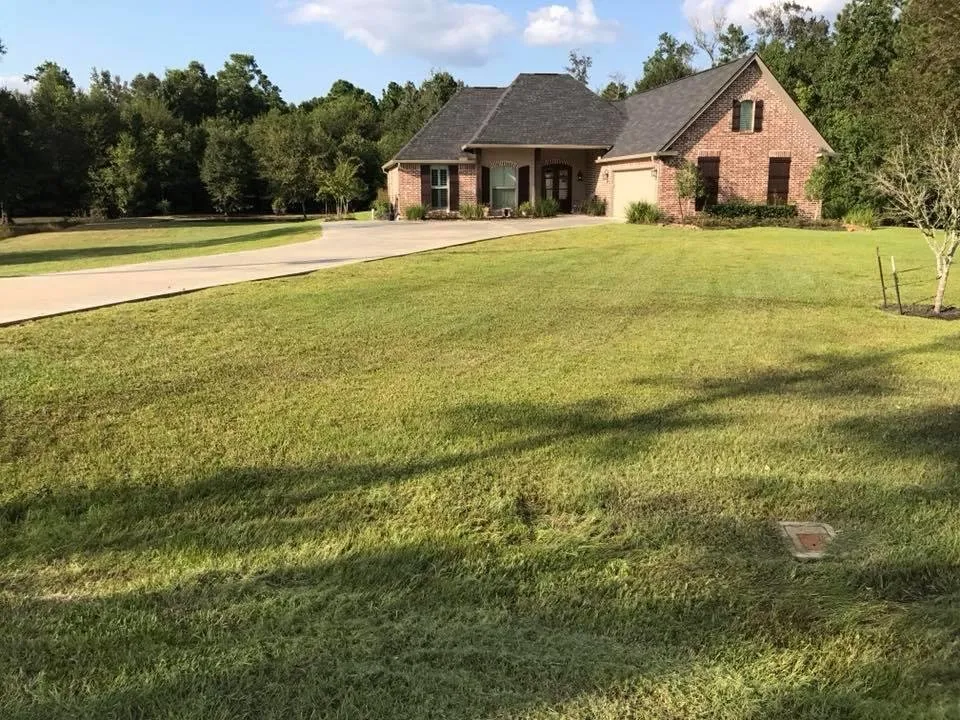 Reliable yard cleanup service in Sealy, TX - Morrell Outdoors