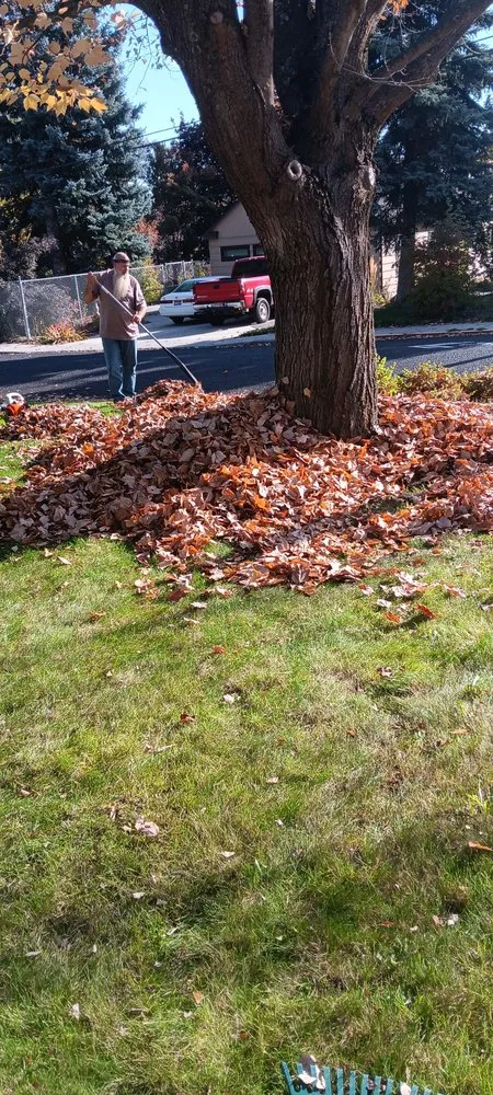 Professional landscape design for beautiful yards across Moscow, ID - Morris & Company Freelancing